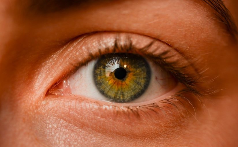 Oczy to wyrafinowany organ. To dokładnie dzięki nim spostrzegamy.